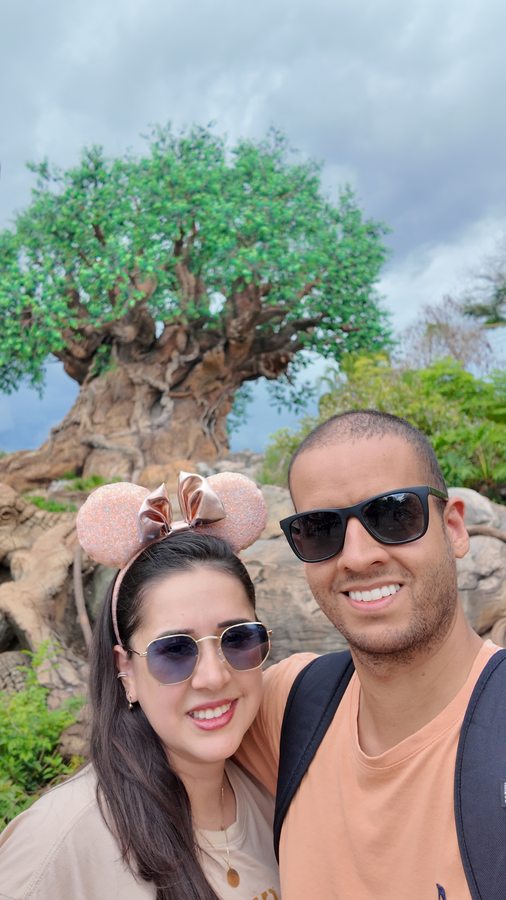 Animal Kingdom — Tree of Life